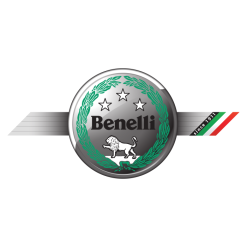 BENELLI MOTOROK